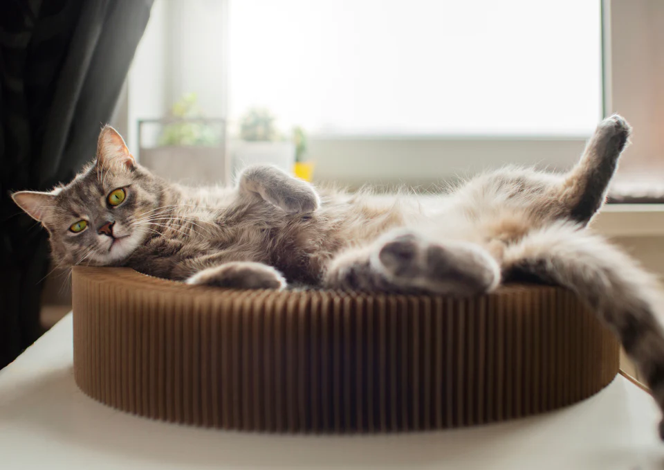 Image slider