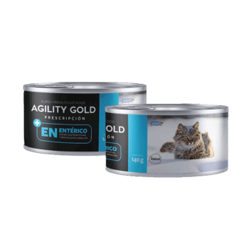 GILITY-GOLD-ENTERICO-GATO