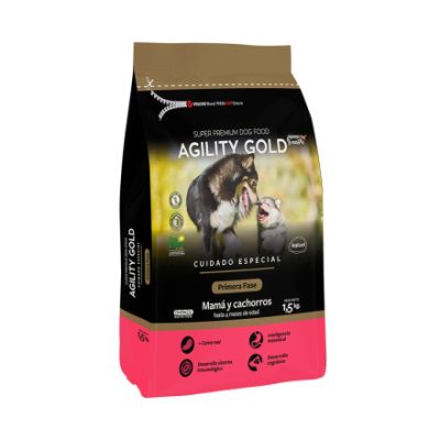 agility gold primera fase