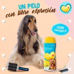 can amor pelo largo