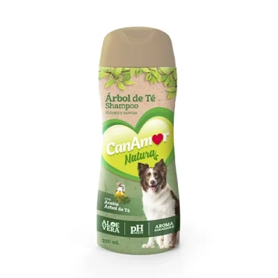 shampoo arbol de te