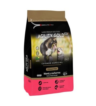 agility gold primera fase