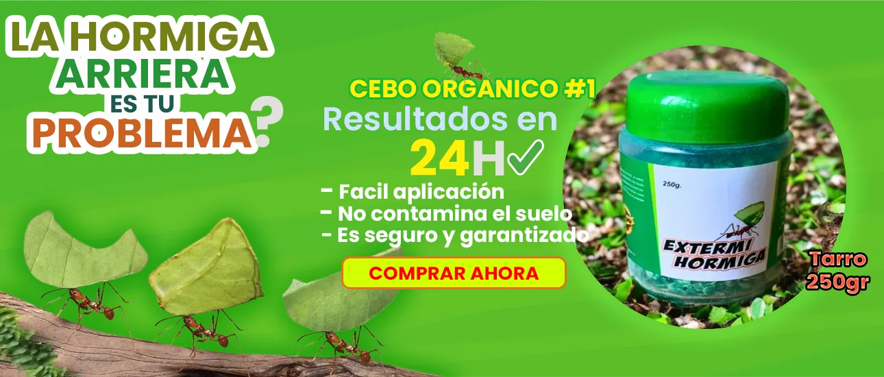erradicar hormiga arriera