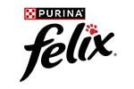 felix-logo-nuevo_ed-min