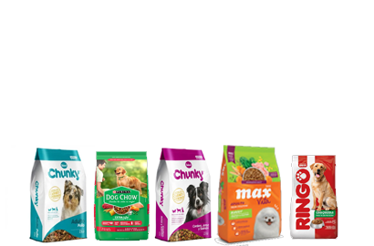 comida perros