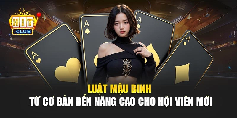 Luật mậu binh từ cơ bản đến nâng cao cho hội viên mới